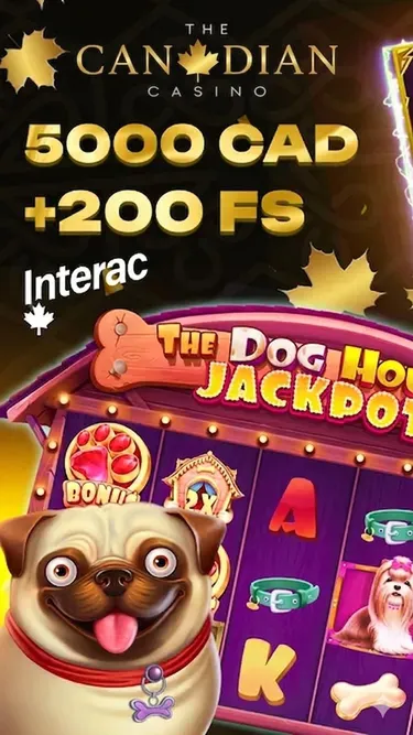 Niagara Slots Screenshot